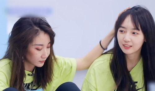 刘雨涵最新爆料,揭秘娱乐圈惊人内幕！